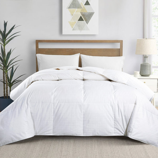 The Twillery Co.® All Season Goose Down Comforter & Reviews Wayfair